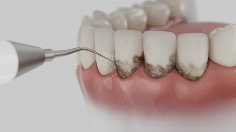 Reliable Dental contractor in Garland, NC by Dentist Open Now
